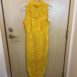 NWT Aijek Melanie cap sleeve pencil lace dress